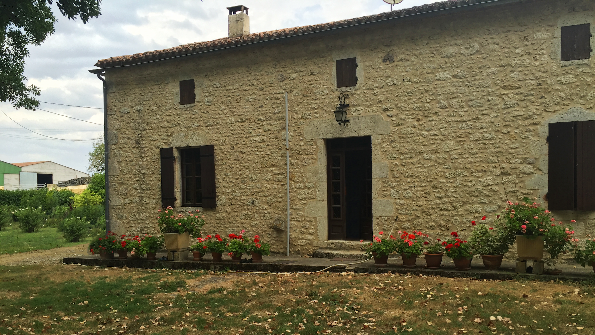 Grid view image of houses and forest